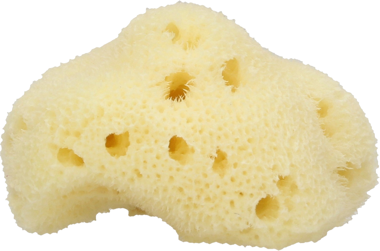 a piece of white sponge on a white background
