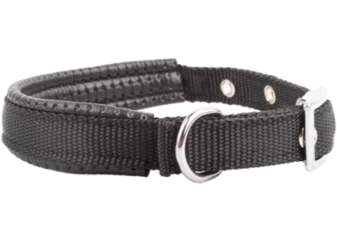 a black leather dog collar with a silver buckle