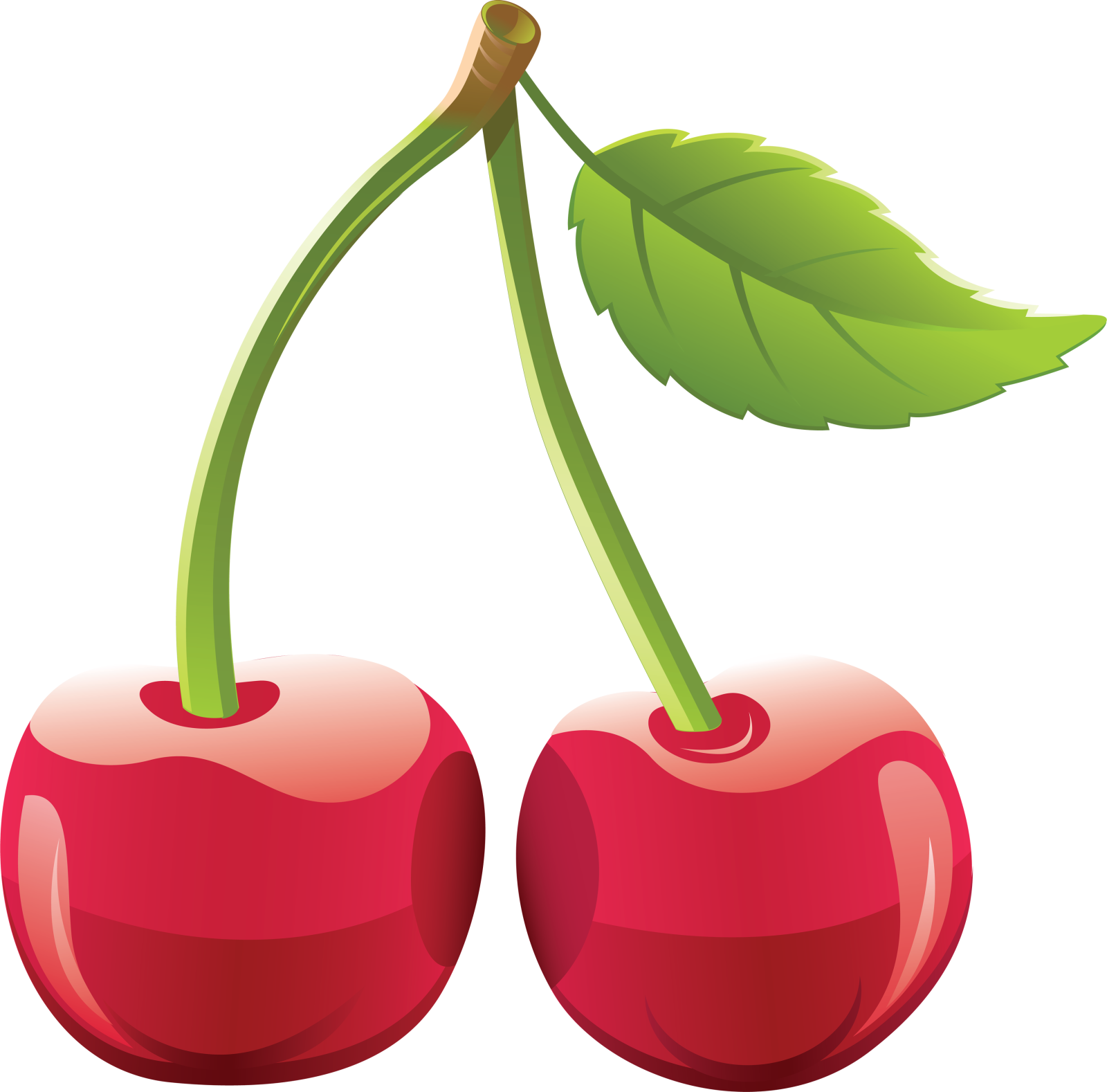 two chers with green leaves