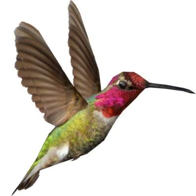 a hummingbird flying in the air with its wings spread