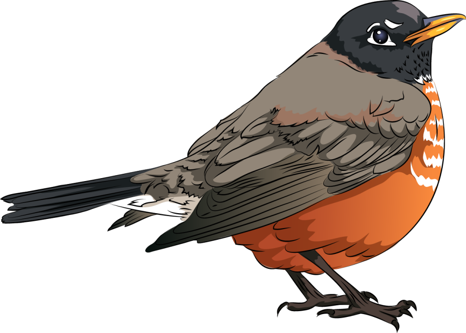 a bird sitting on top of a white background