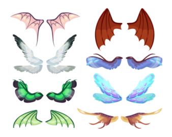 a set of different wings on a white background