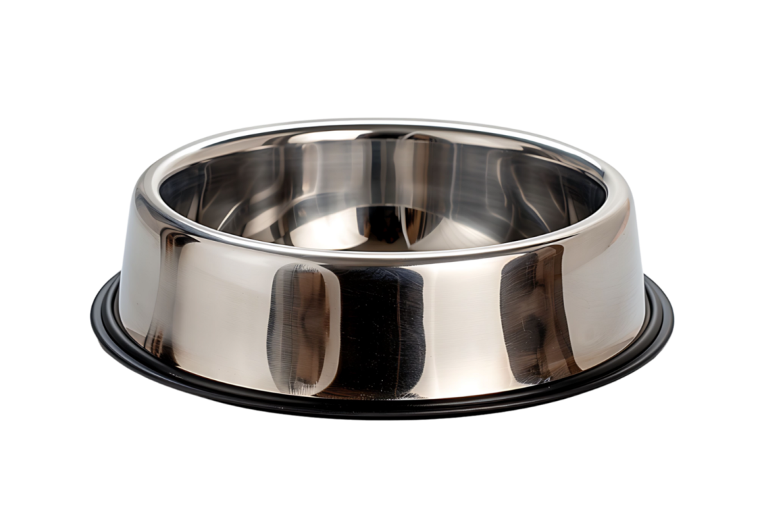 a stainless steel dog bowl on a white background