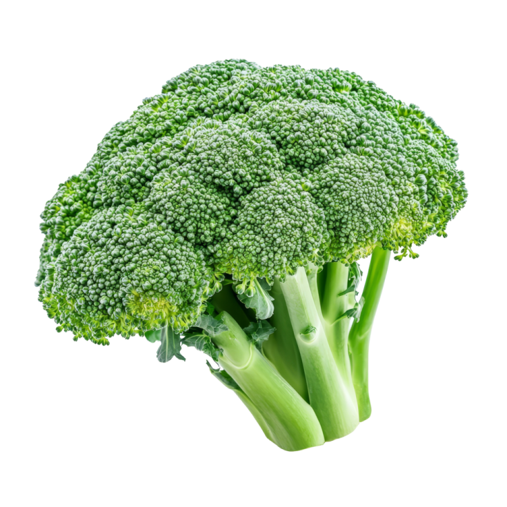 a close up of a piece of broccote