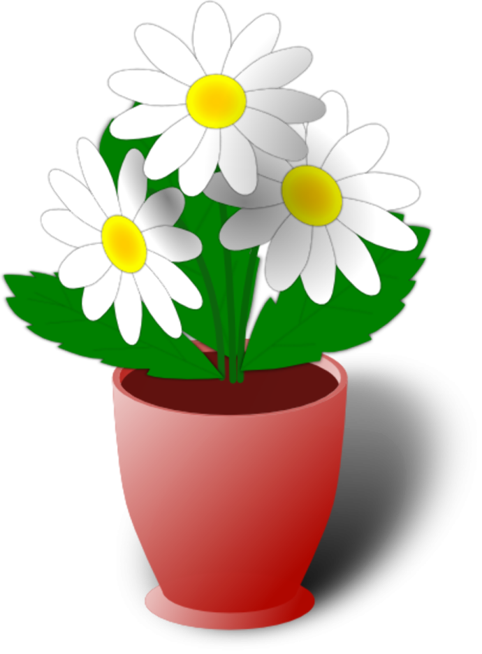 a red pot with white flowers in it
