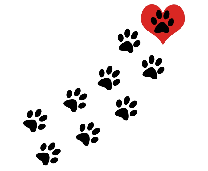 a heart and paws on a transparent background
