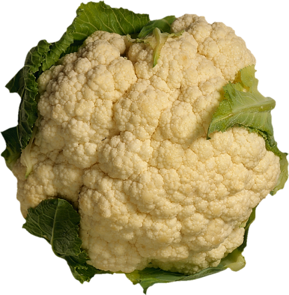 a close up of a head of caulide