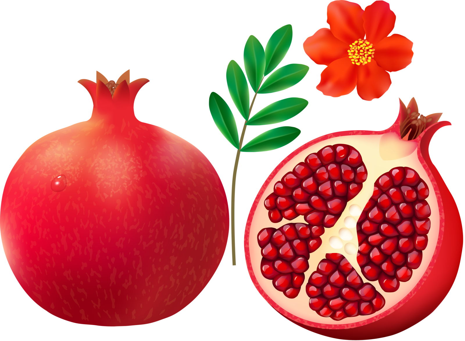 a red pome with leaves and a flower