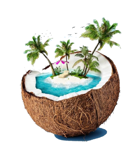 a coconut with two palm trees in it