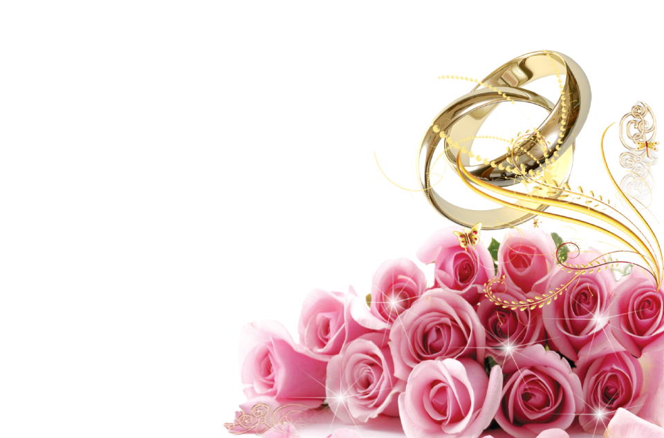 pink roses and gold wedding rings