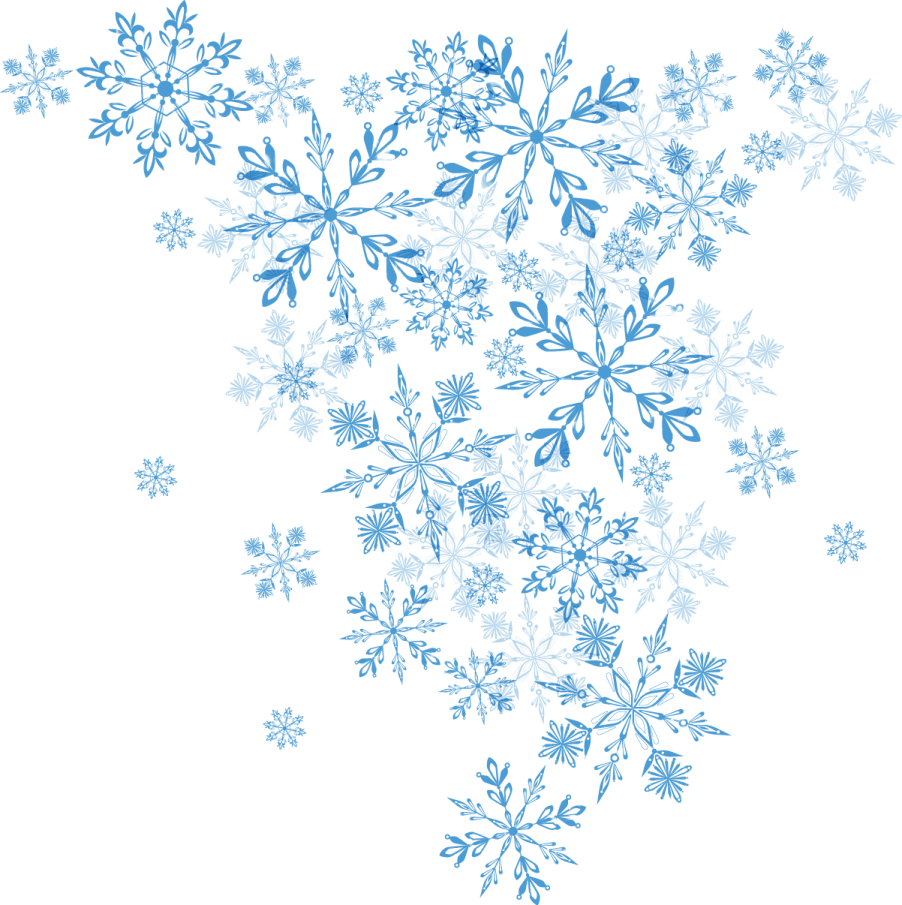 a bunch of blue flowers on a white background