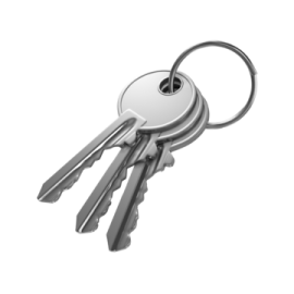 a bunch of keys on a white background