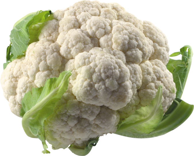 a close up of a head of caulide