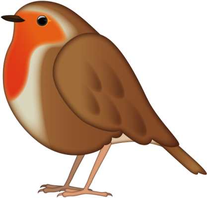 a brown bird with orange and white feathers