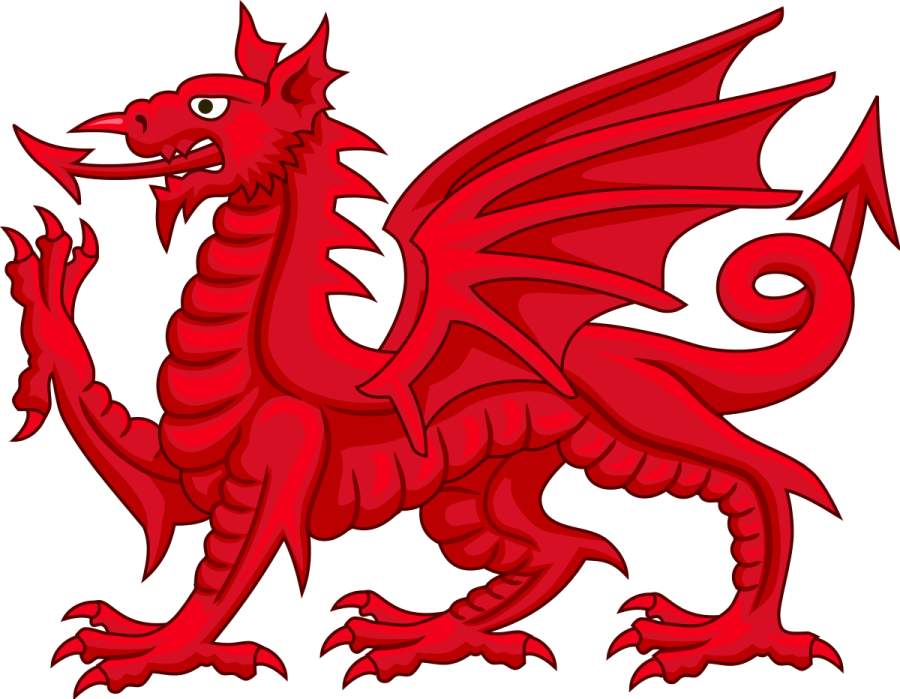 a red dragon