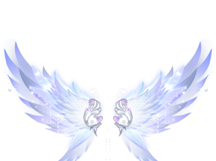 a pair of white and blue wings on a white background