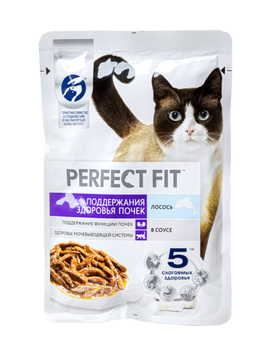 a bag of pet food with a cat in it