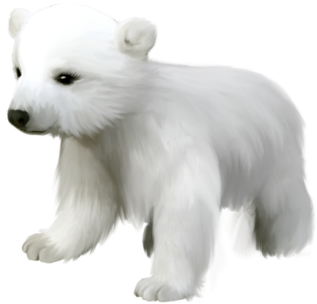 a drawing of a polar bear