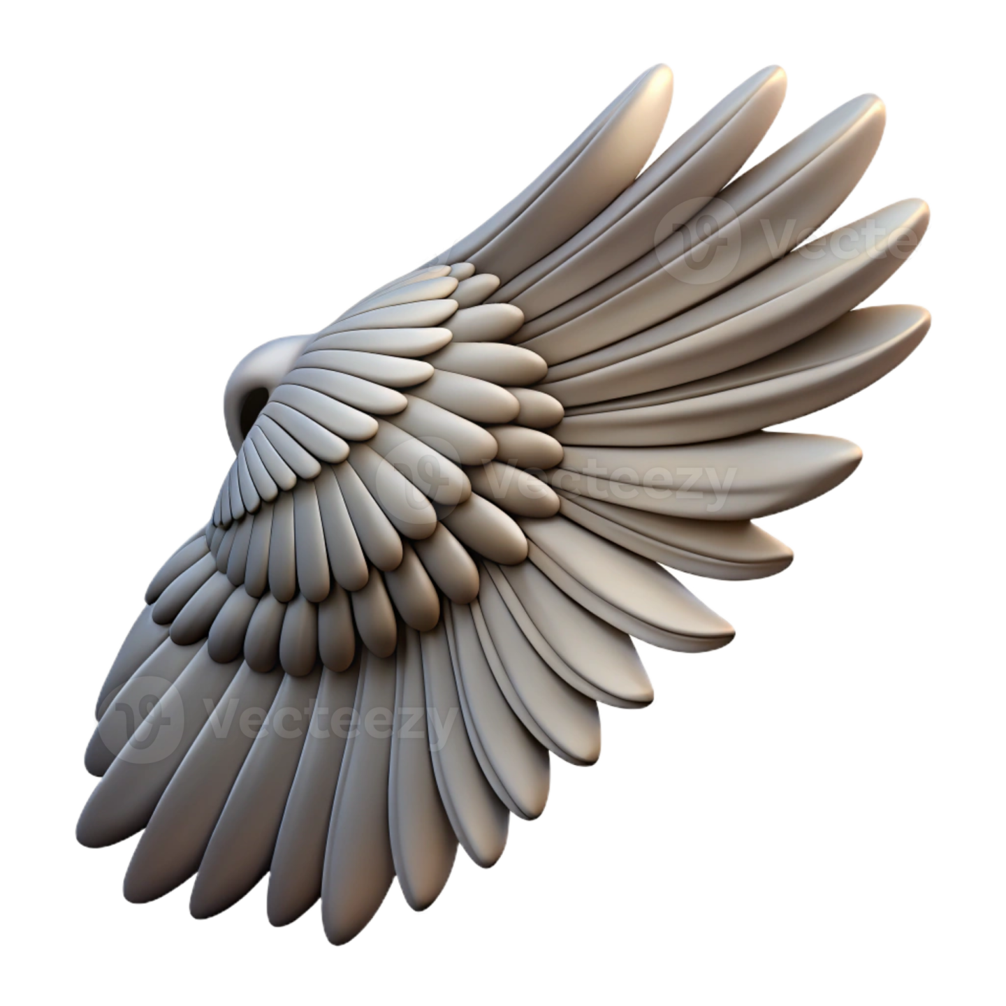 a 3d model of an eagle's wing