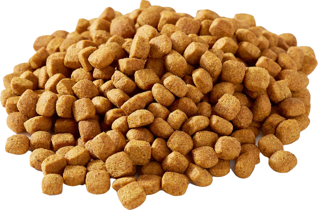a pile of dry dog food