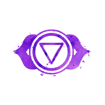 a purple watercolor logo with the letter v on it