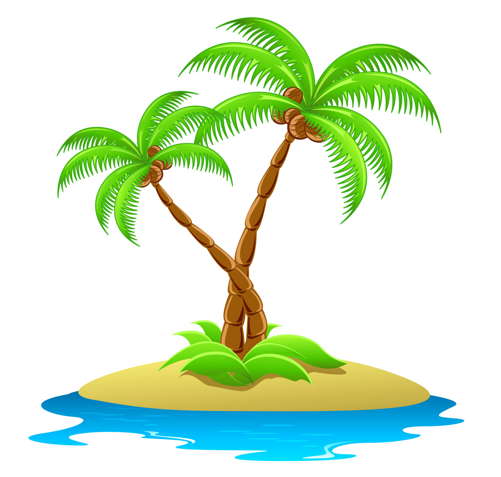 a palm tree on an island with water