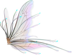 a drawing of a butterfly on a white background