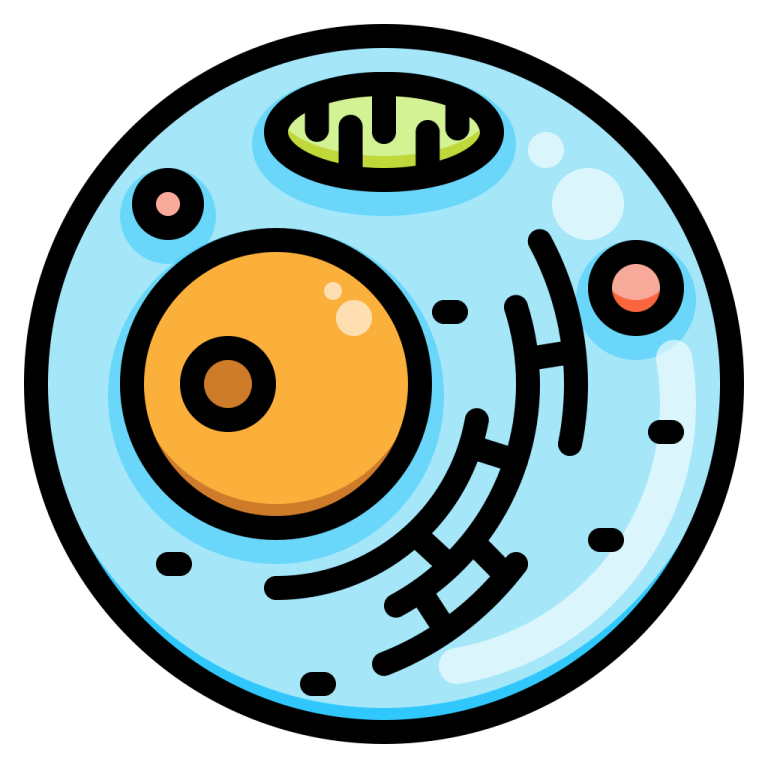 a blue plate with an orange eye on it