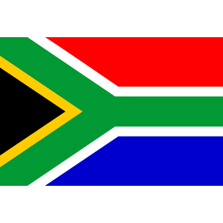 the south african flag