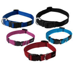 a set of four collars with different colors