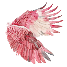 a pink and white bird with wings spread out