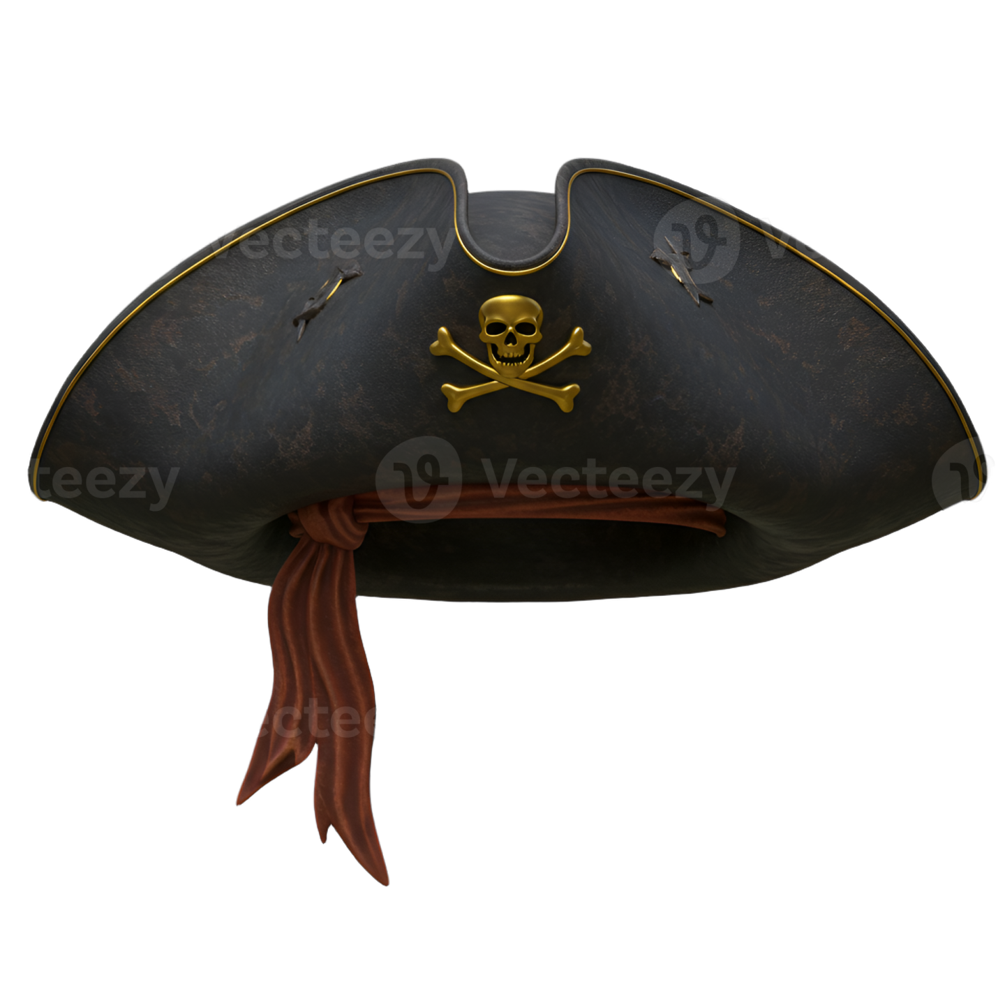 a pirate hat with a skull on it