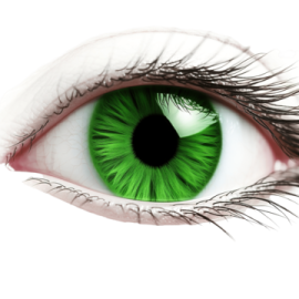 a close up view of a green eye