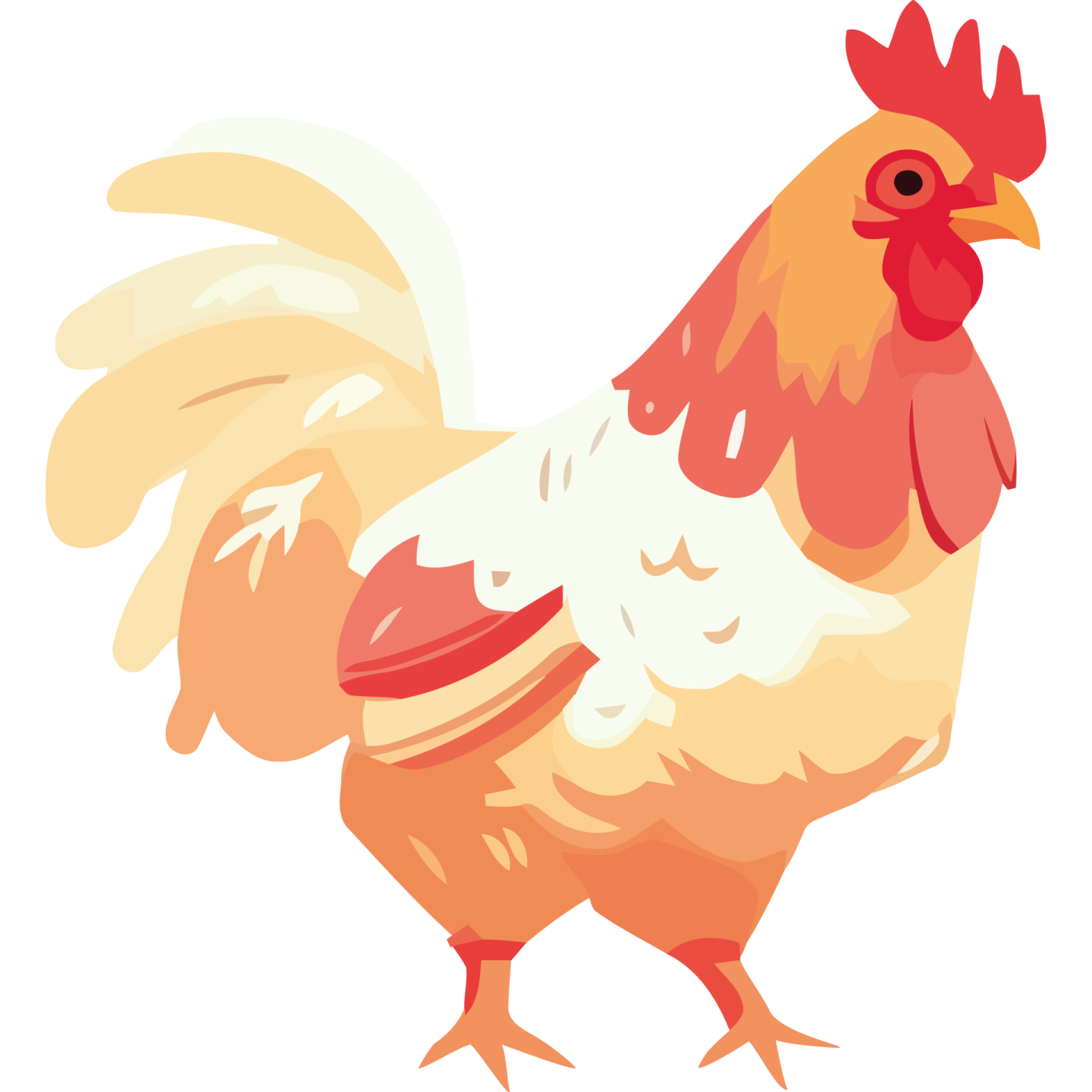 a red and white rooster standing on the ground