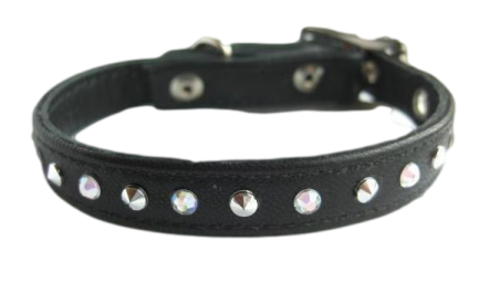 a black leather dog collar with silver studs