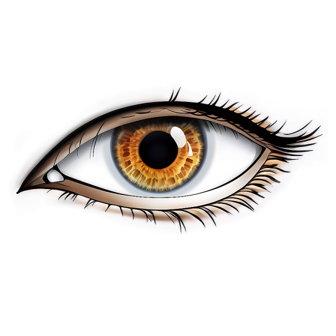 a close up view of an eye