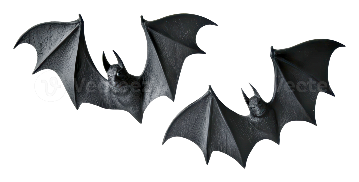 three bats on a white background