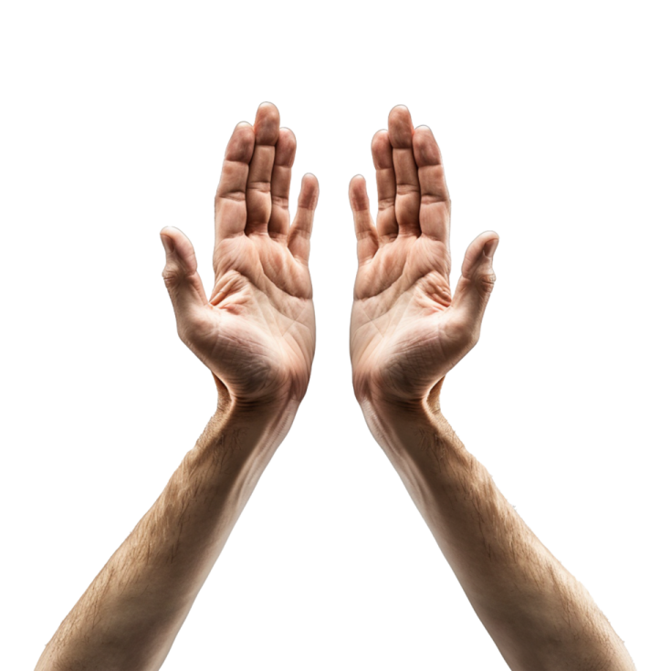 two hands raised up in the air