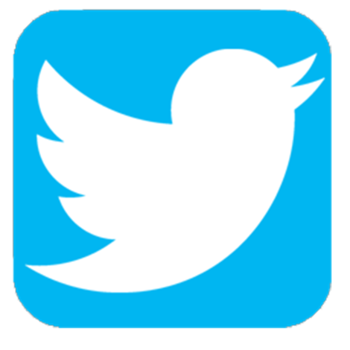 the twitter logo