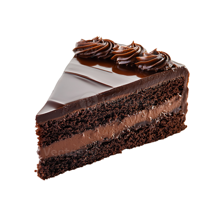 a piece of chocolate cake