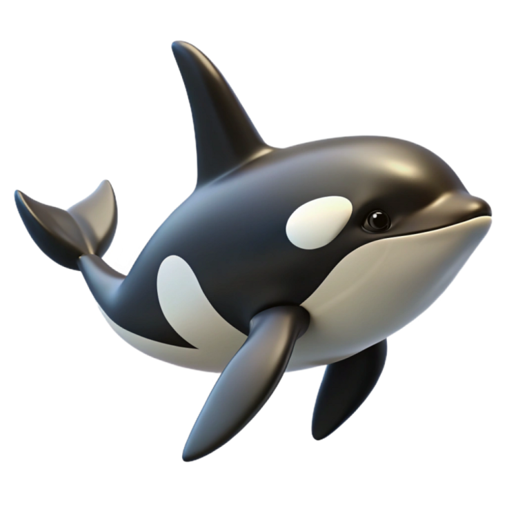 a black and white orca in the air