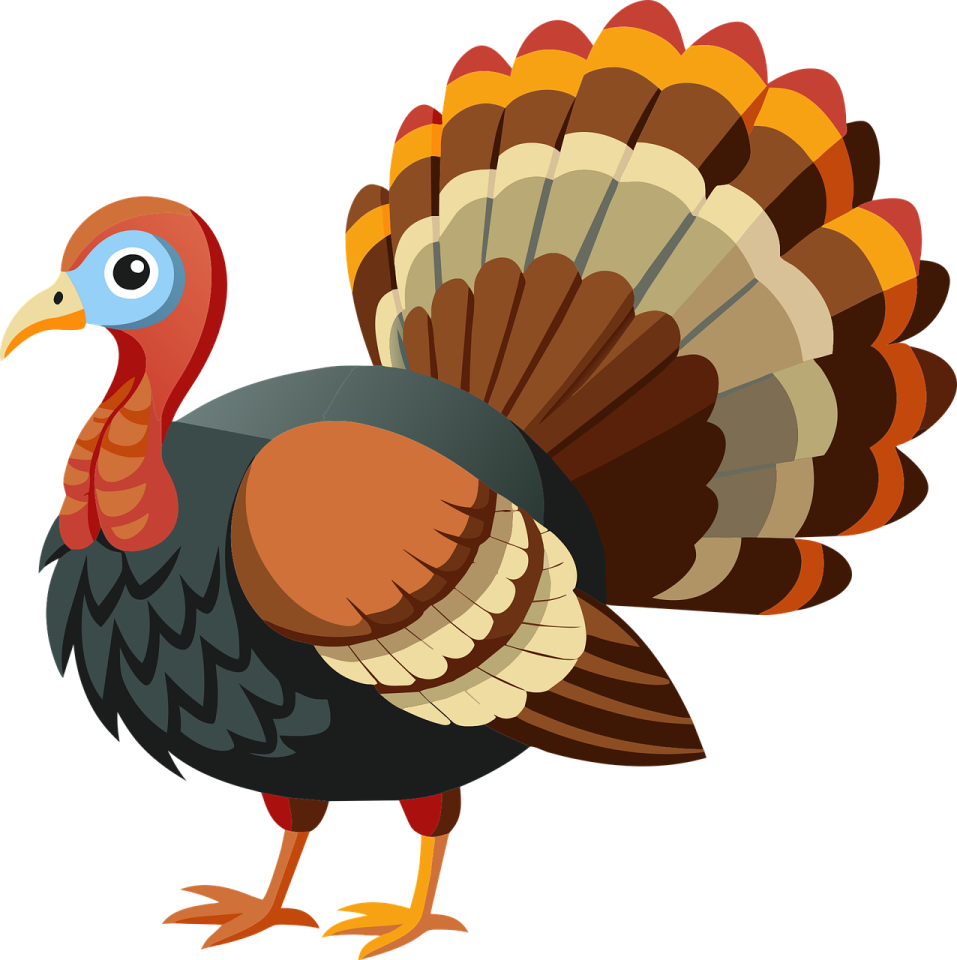 a turkey is standing on its hinds