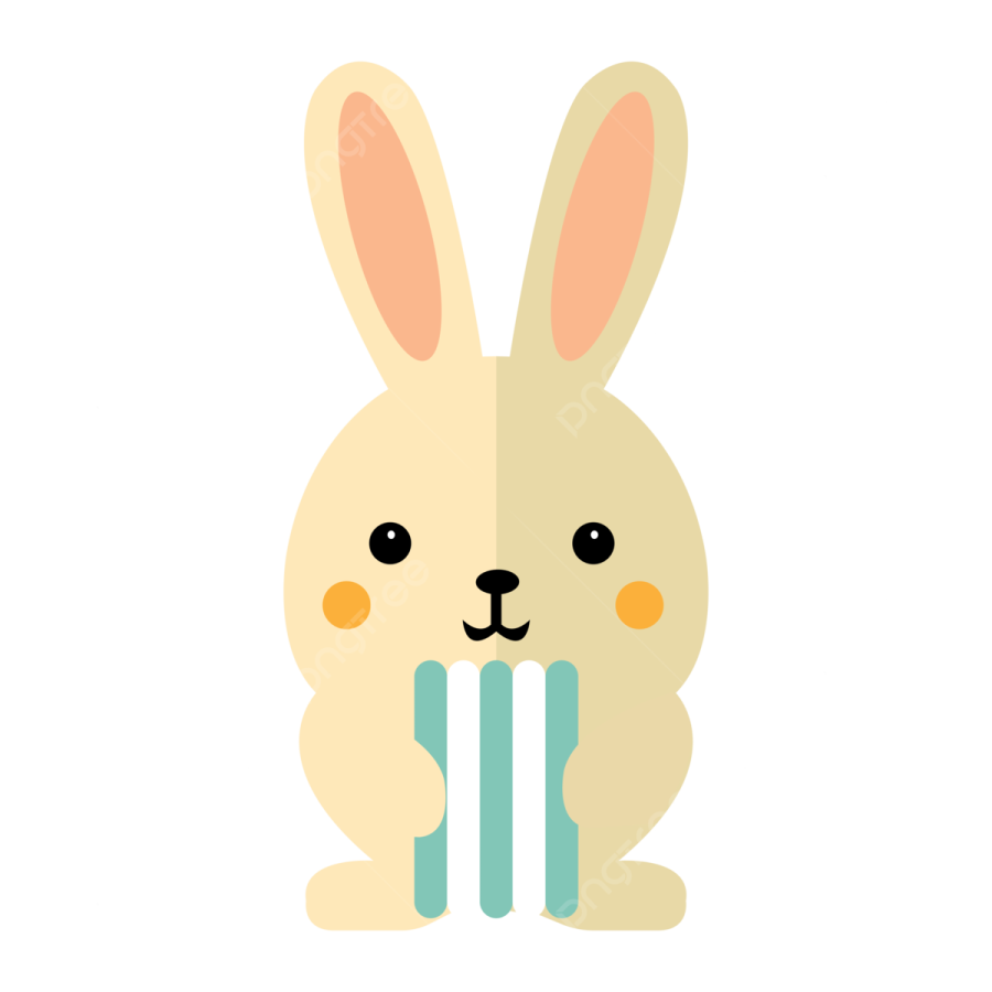 a white rabbit with a blue ribbon around its neck