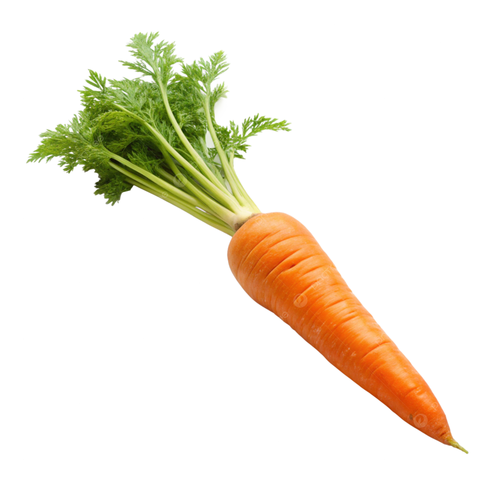 a bunch of carrots on a white background