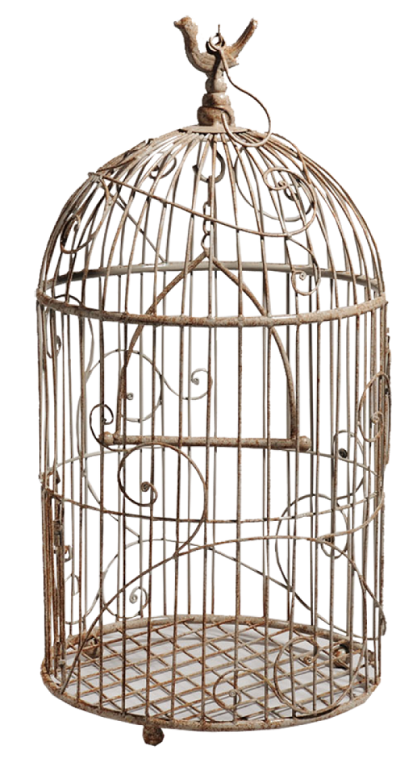a bird in a cage on a white background