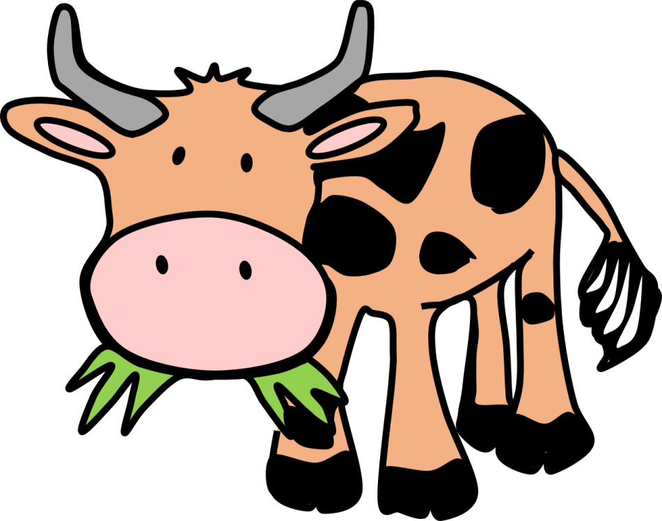 a cow eating grass in its mouth