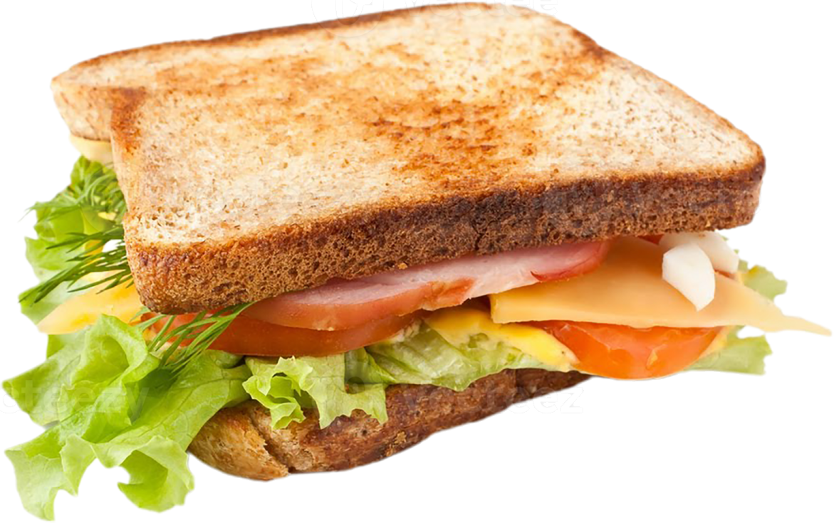 a close up of a sandwich on a white background