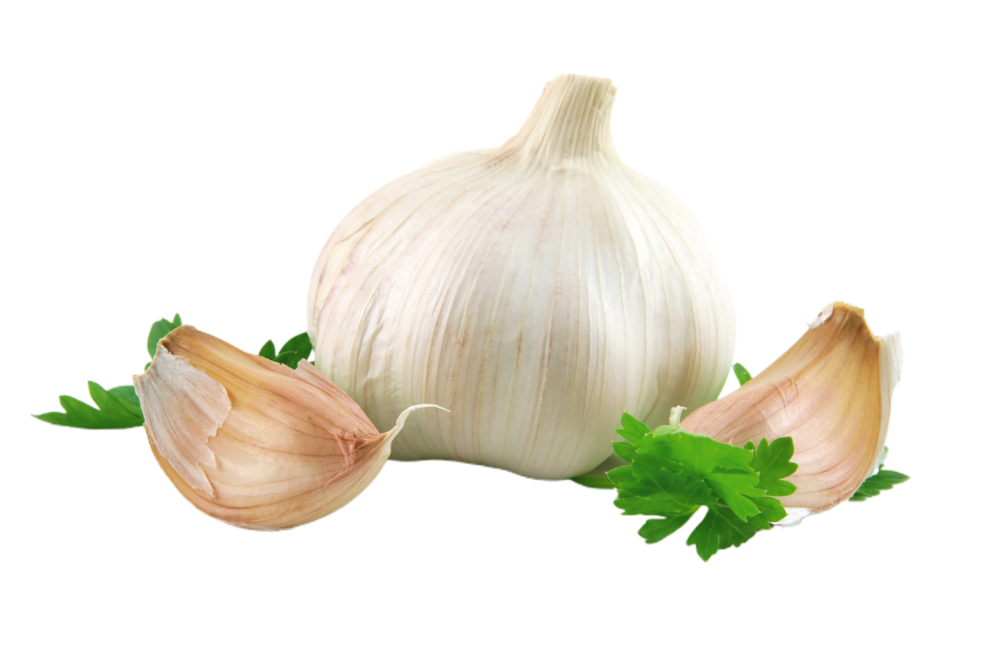 a bunch of garlic on a white background