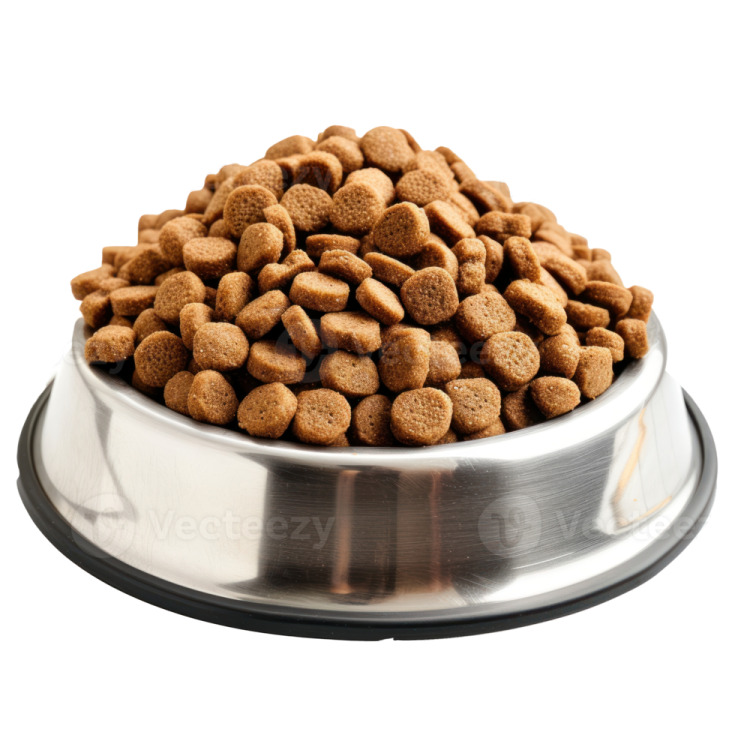 a bowl full of dry dog food