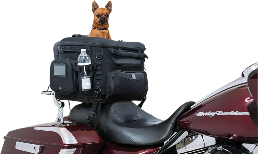 a dog sitting on the back of a motorcycle